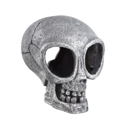 Alien Skull