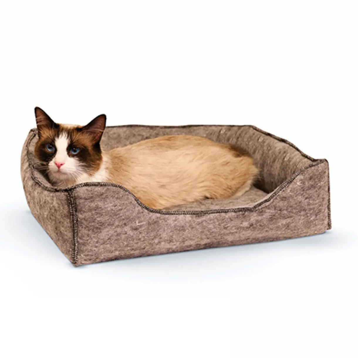 Amazin' Lounger Kitty Sleeper