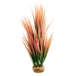 Amazon Grass Salmon 10" Aquarium Plant