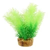 Cabomba 4" Aquarium Plant