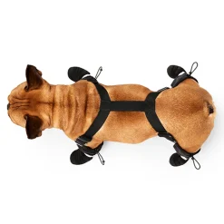 Canada Pooch Suspender Boots Black
