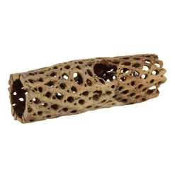 Cholla Tunnel Medium 6"