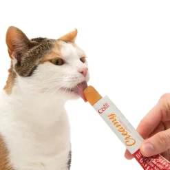 Creamy Lickable Cat Treat Salmon 5 Pack