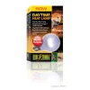 Daytime Heat Lamp A19/60W