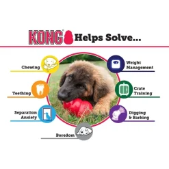 Extreme Kong Medium