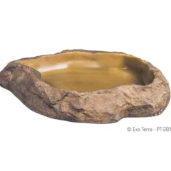 Feeding Dish Small
