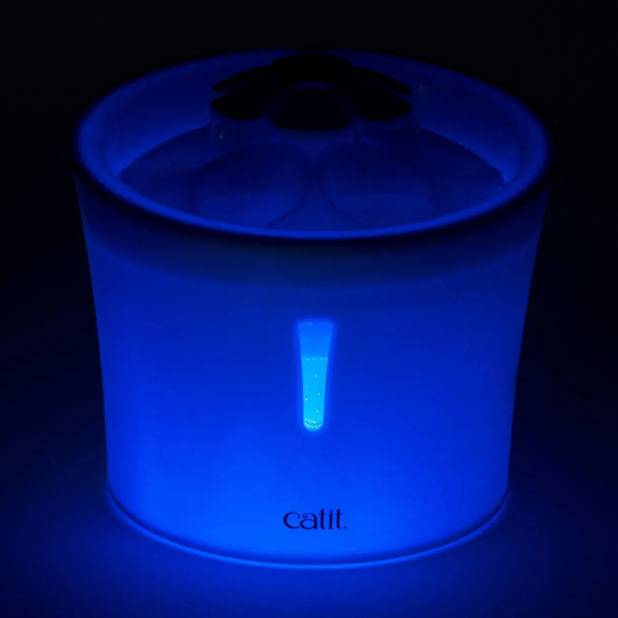 Flower Fountain LED