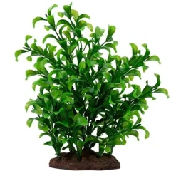 Fluval Large Bacopa Plant 8"