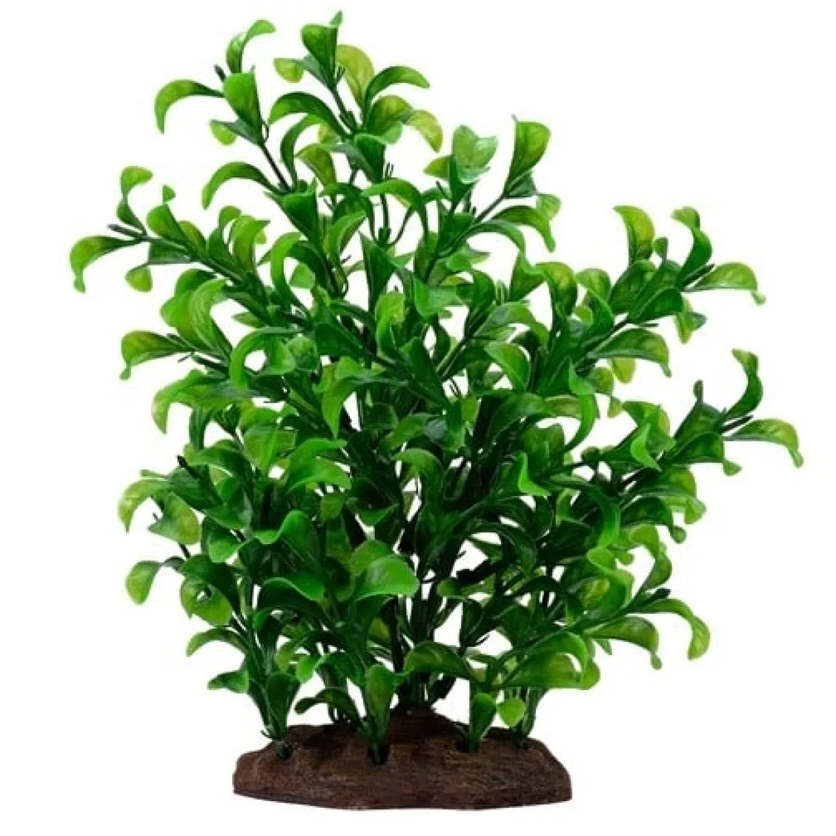 Fluval Large Bacopa Plant 8"
