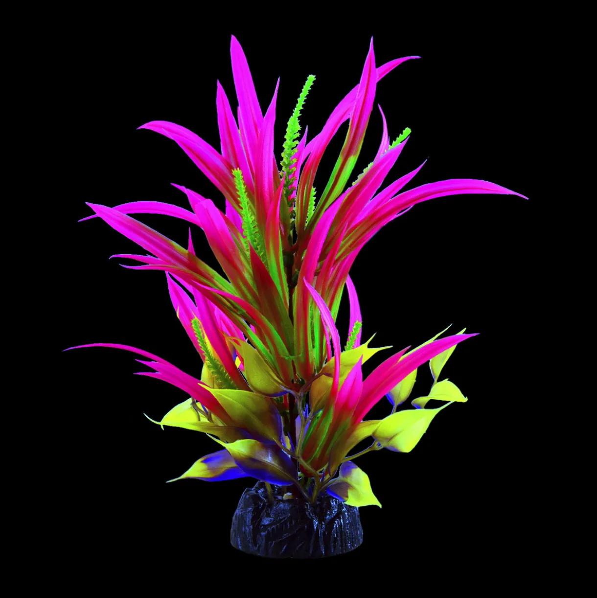Glo Sagitaria Pink Large