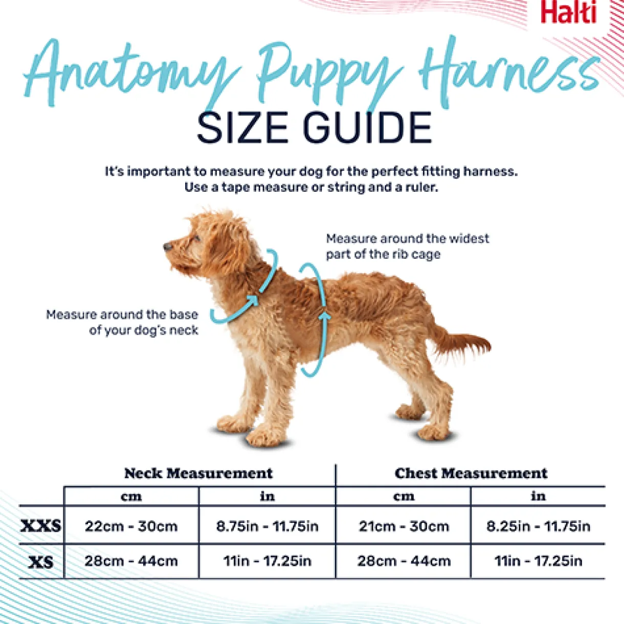 Halti Anatomy Puppy Harness