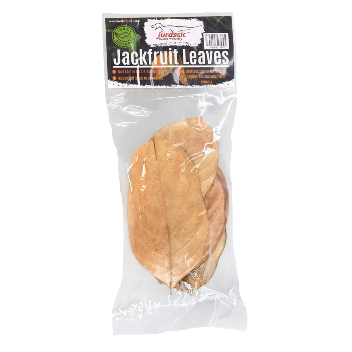 Jackfruit Leaves