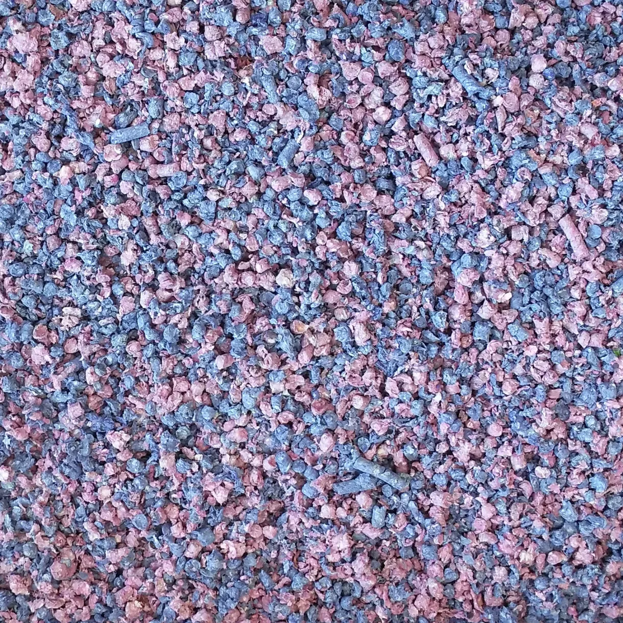 Living World Fresh 'N Comfy Bedding - 10 L (610 cu in) - Confetti