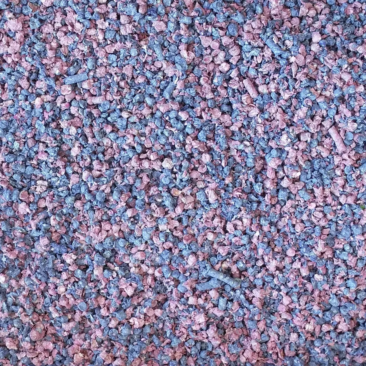 Living World Fresh 'N Comfy Bedding - 20 L (1220 cu in) - Confetti