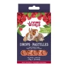 Living World Small Animal Drops Raspberry Flavour 75g (2.6oz)