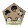 PH Naturals Pentagon Forage N Play Box Large