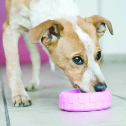 Puppy Kong Tire Small Assorted
