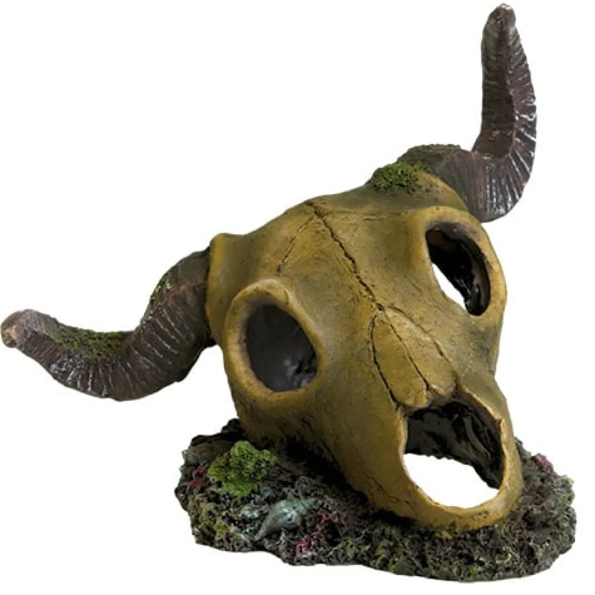 Ram Skull 5.75"