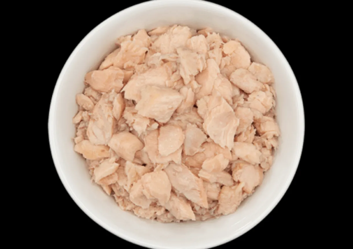 Tiki Cat Wild Salmon in Salmon Consomme Wet Cat Food 2.8oz