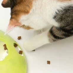 Treat Spinner