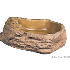 Water Dish - Large