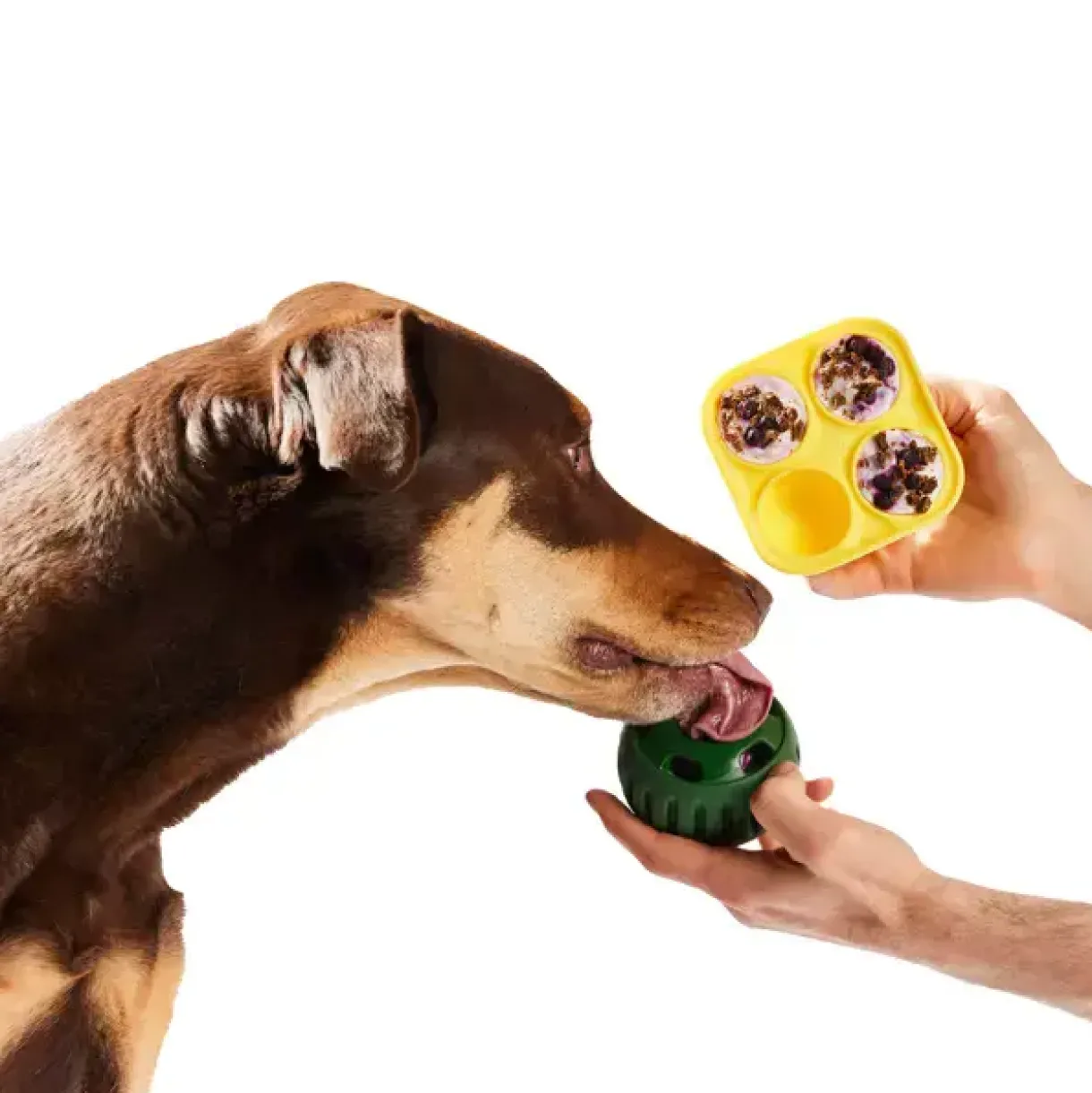 Woof Pupsicle Treat Tray Large