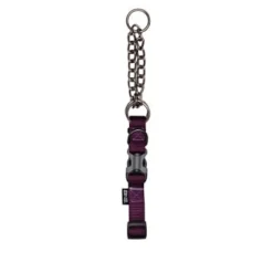 Zeus Martingale Dog Collar
