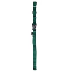 Zeus Nylon Leash With Handle Buckle